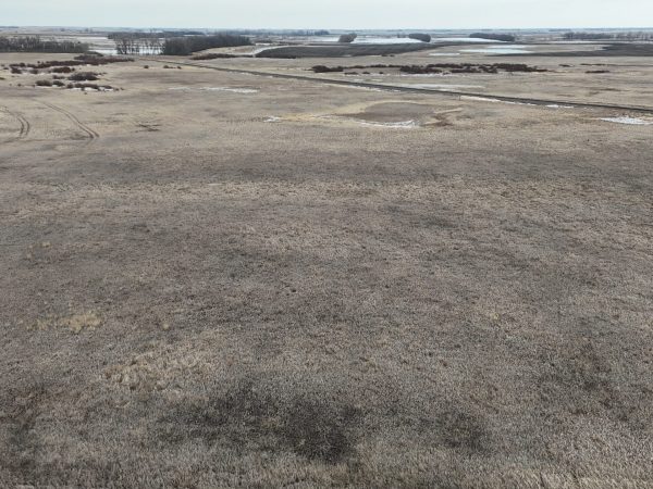 DJI 20260324173405 0024 D