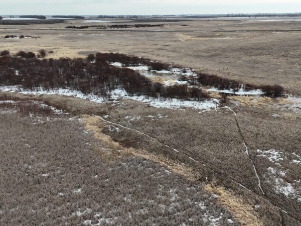 DJI 20260324173513 0030 D