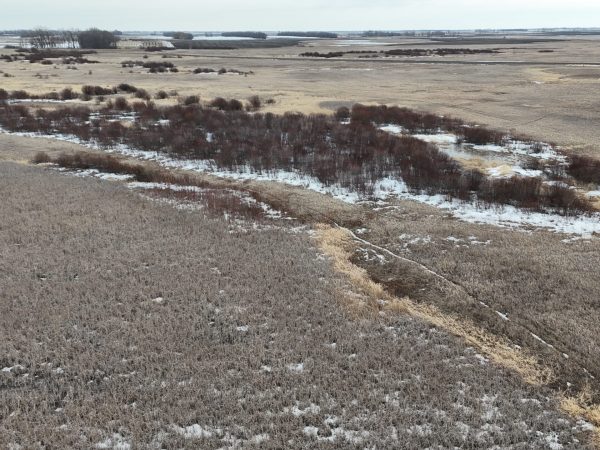 DJI 20260324173516 0031 D