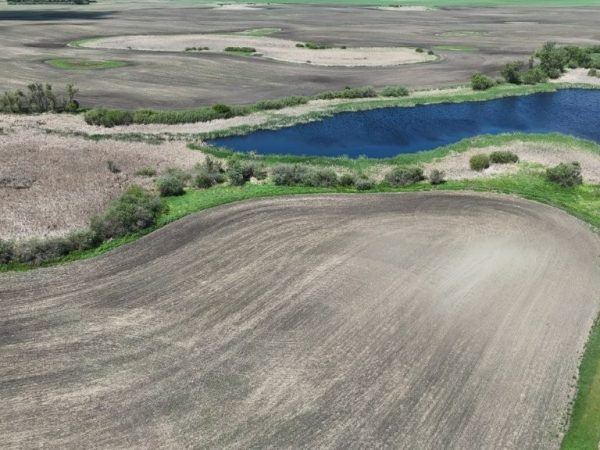 DJI 20260609135924 0001 D