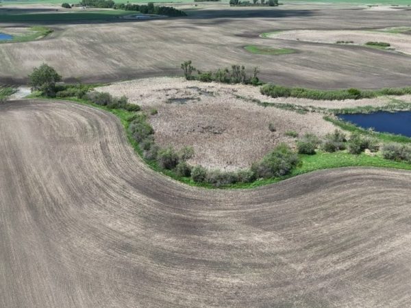 DJI 20260609135928 0002 D