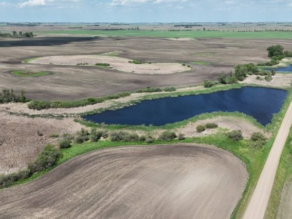 DJI 20260609135952 0005 D