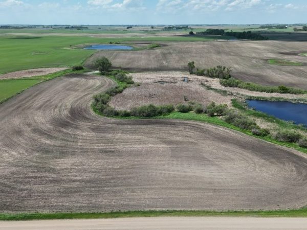 DJI 20260609140010 0006 D