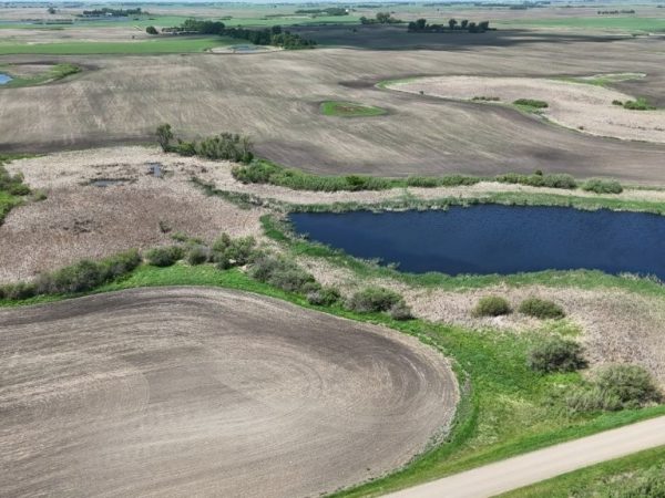 DJI 20260609140018 0008 D