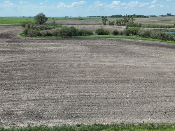 DJI 20260609140133 0014 D