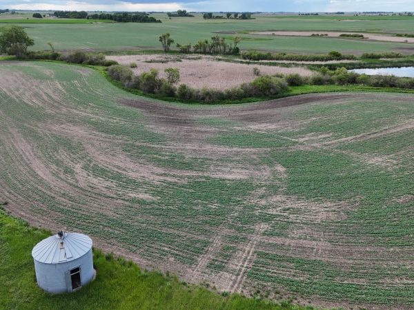 DJI 20260618175530 0001 D
