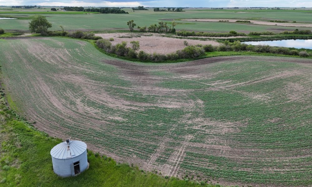 DJI 20260618175530 0001 D