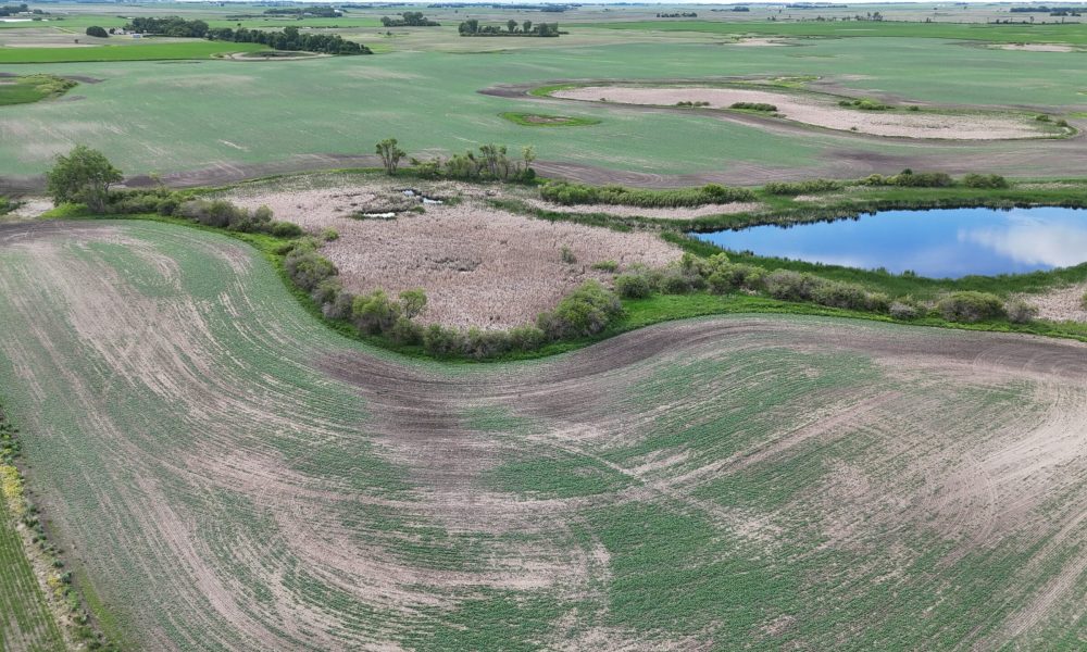 DJI 20260618175559 0002 D
