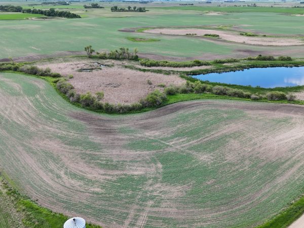 DJI 20260618175606 0003 D