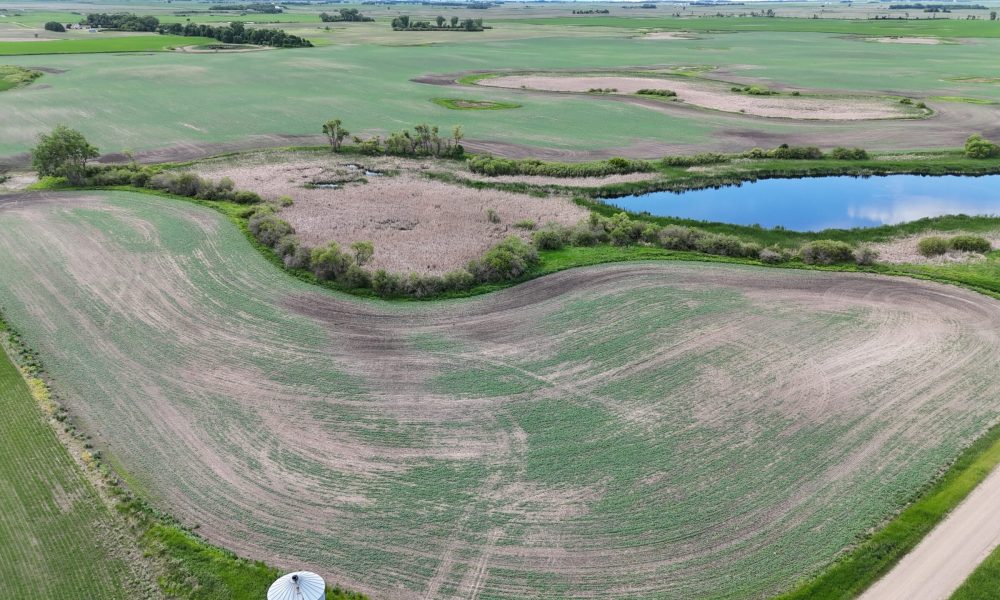 DJI 20260618175606 0003 D