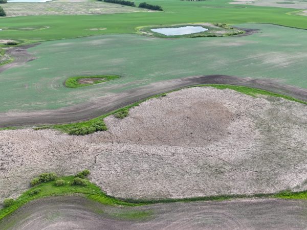 DJI 20260618175934 0005 D