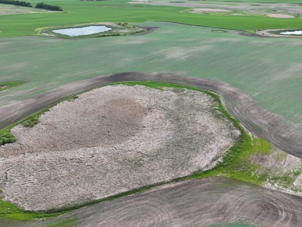 DJI 20260618175936 0006 D