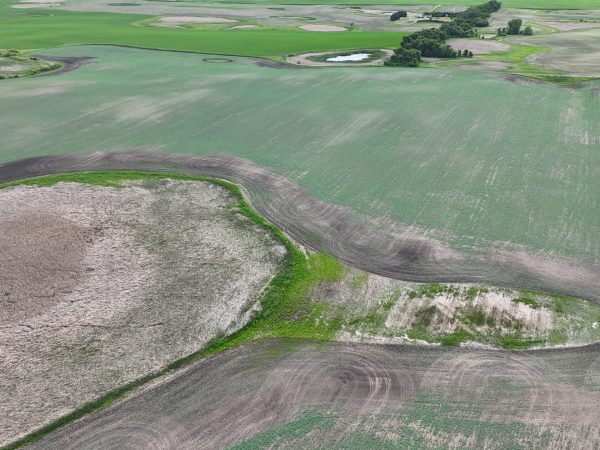 DJI 20260618175939 0007 D
