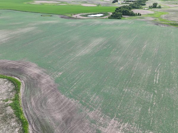 DJI 20260618175957 0008 D