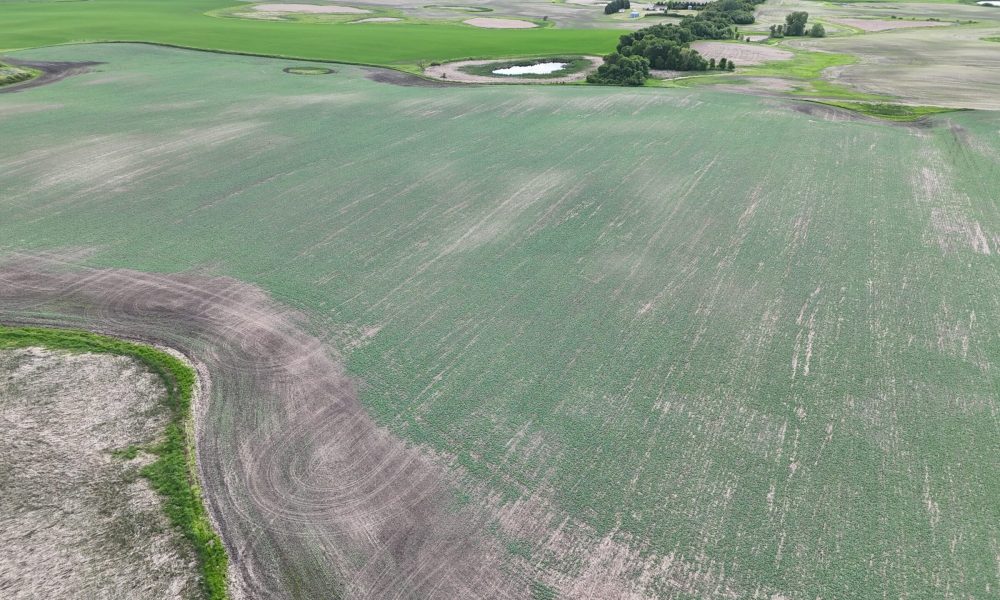 DJI 20260618175957 0008 D