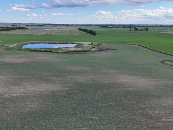 DJI 20260618180024 0009 D