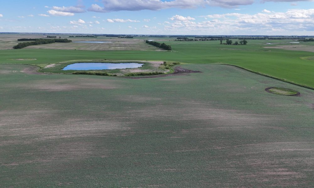 DJI 20260618180024 0009 D