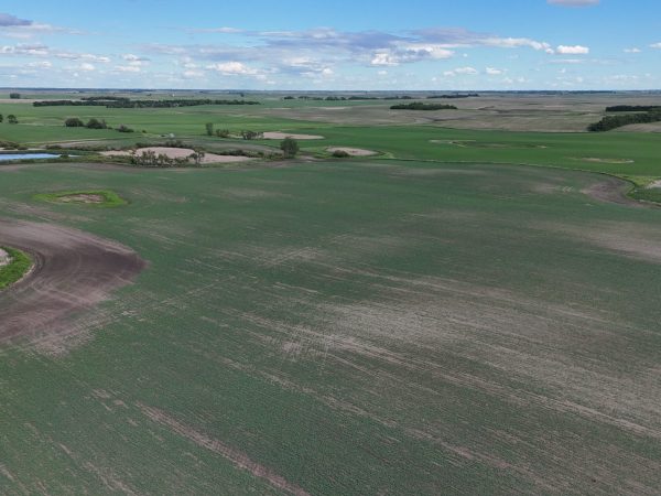 DJI 20260618180028 0010 D