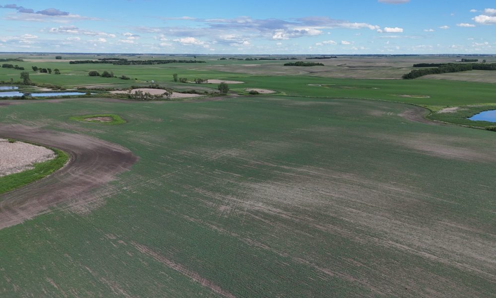 DJI 20260618180028 0010 D