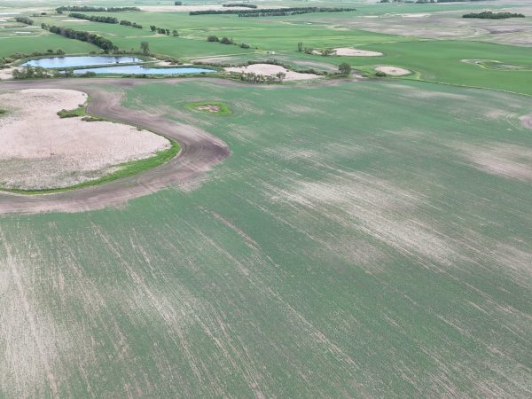 DJI 20260618180043 0011 D