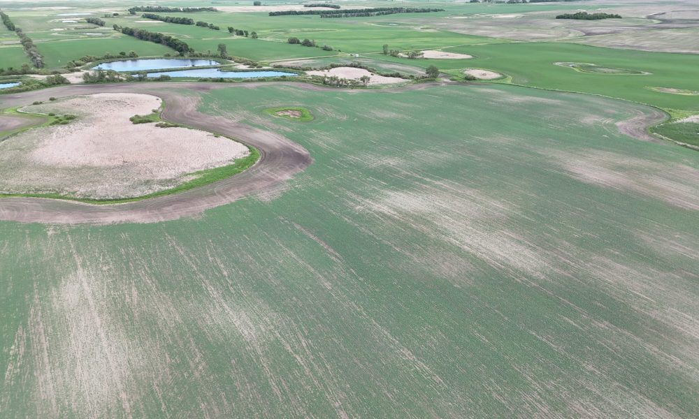 DJI 20260618180043 0011 D