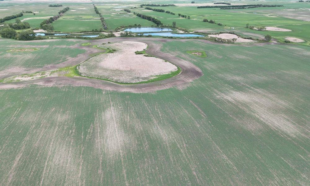 DJI 20260618180046 0012 D