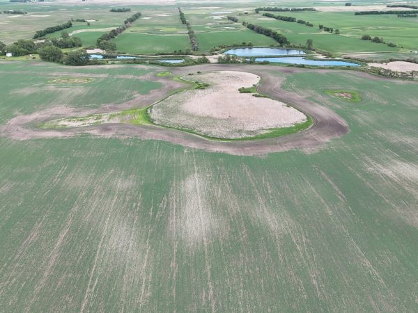 DJI 20260618180049 0013 D