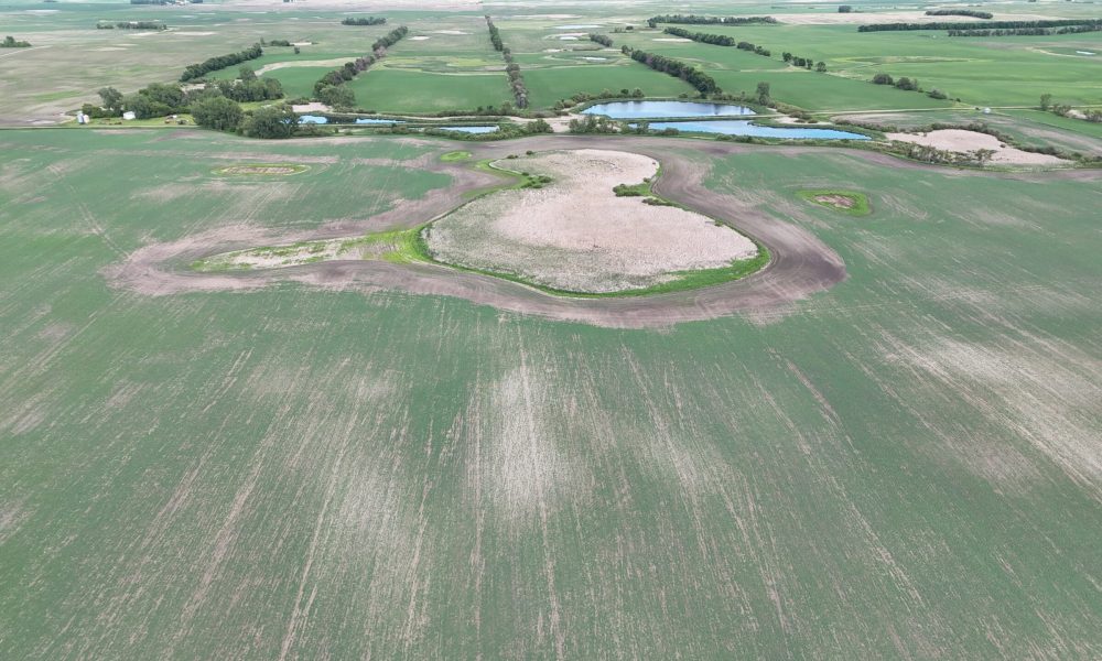 DJI 20260618180049 0013 D