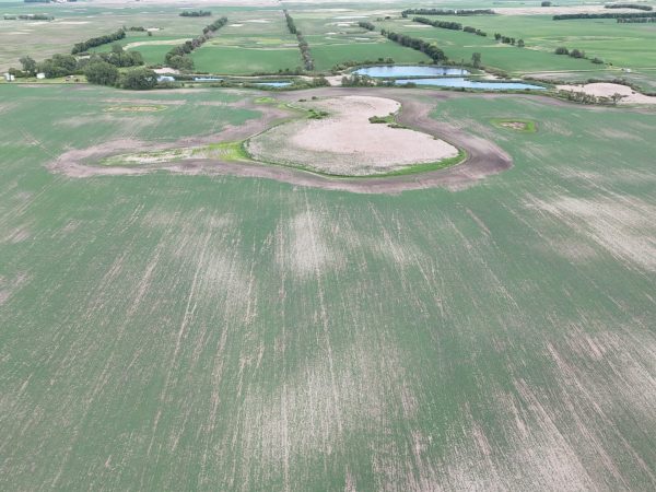 DJI 20260618180057 0014 D