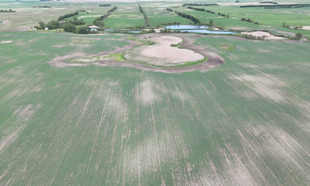 DJI 20260618180057 0014 D