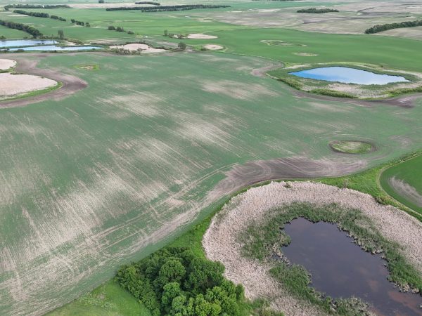 DJI 20260618180109 0015 D