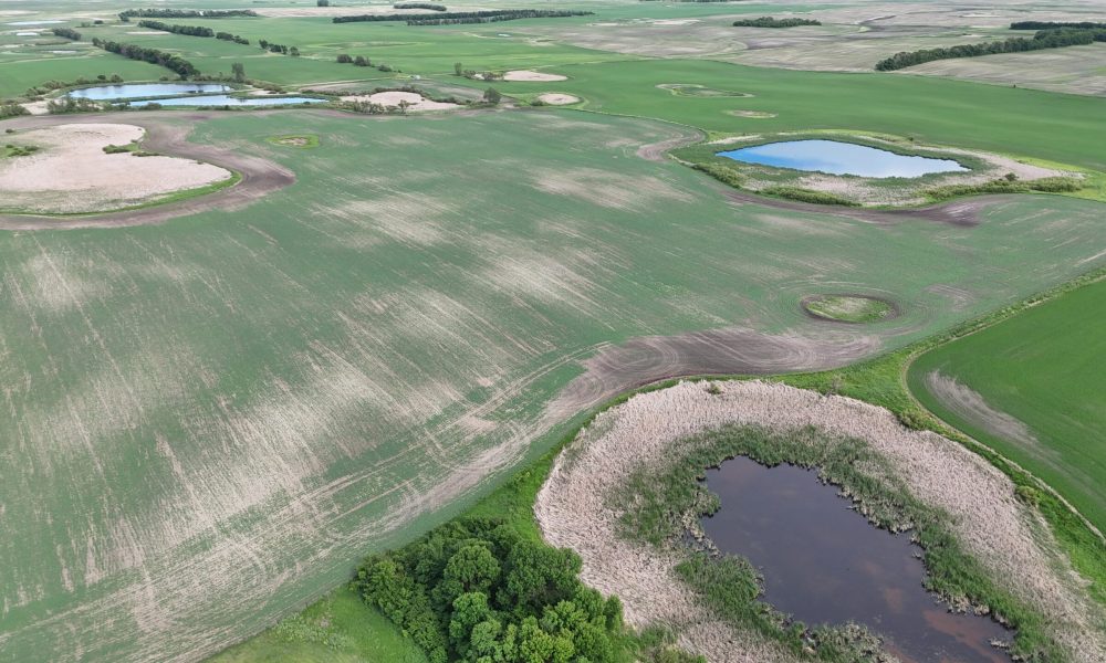 DJI 20260618180109 0015 D