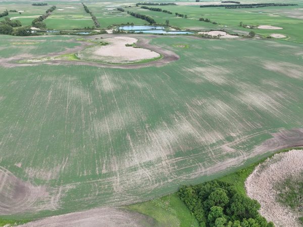 DJI 20260618180112 0016 D