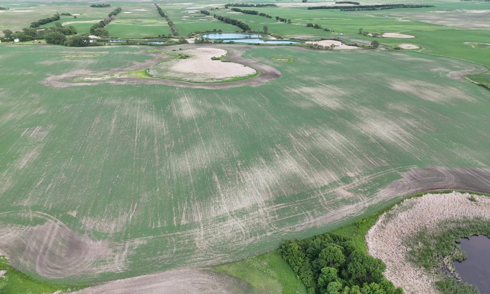 DJI 20260618180112 0016 D
