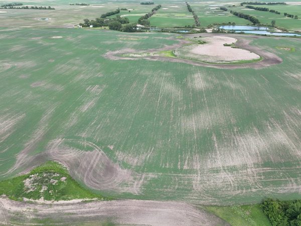 DJI 20260618180115 0017 D
