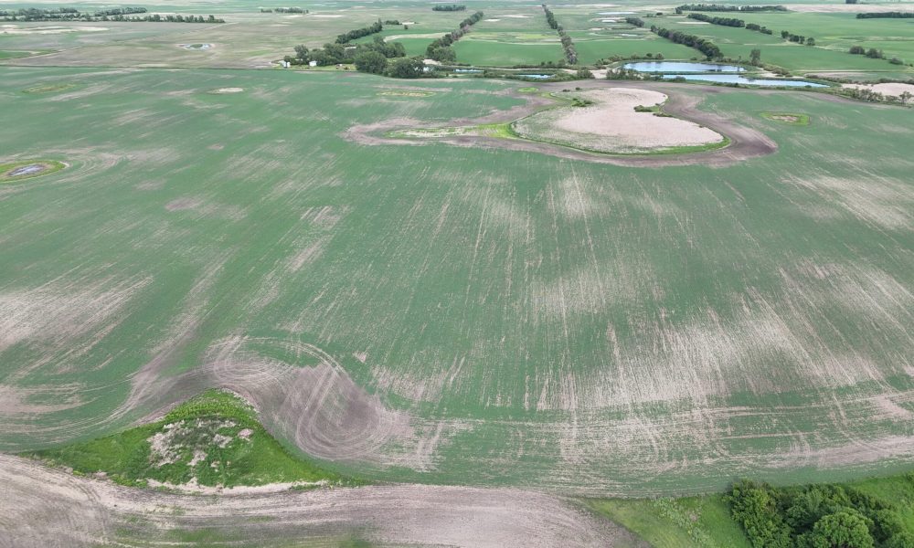 DJI 20260618180115 0017 D