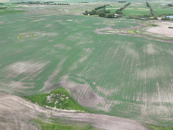 DJI 20260618180117 0018 D