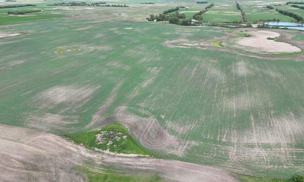 DJI 20260618180117 0018 D