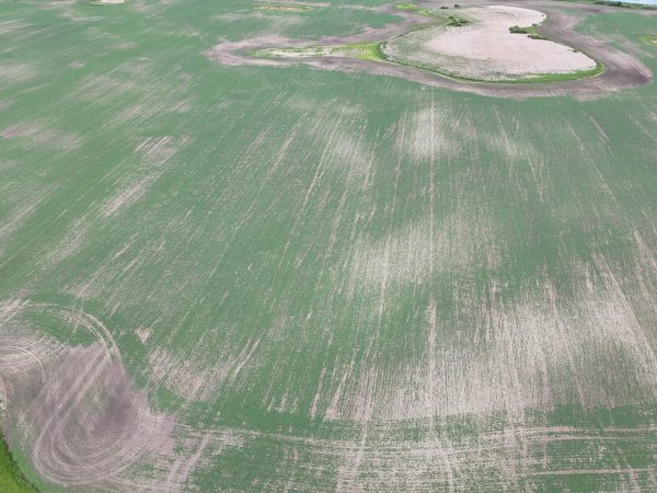 DJI 20260618180125 0019 D
