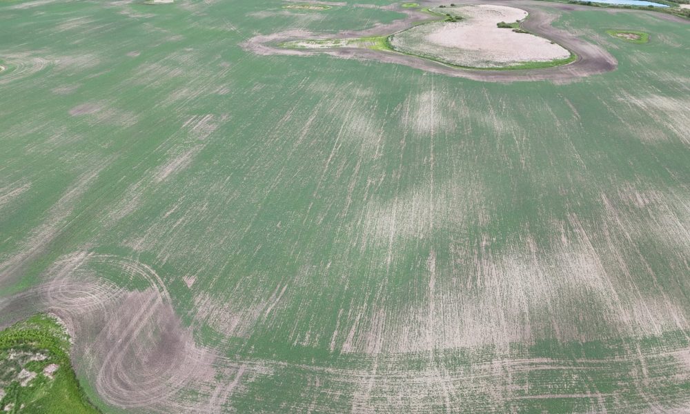 DJI 20260618180125 0019 D
