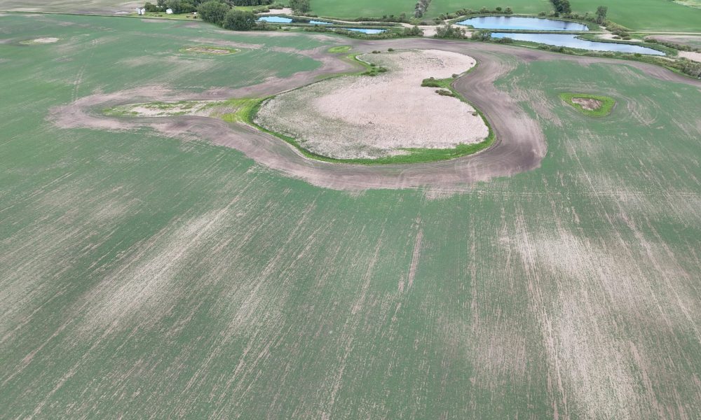 DJI 20260618180141 0020 D