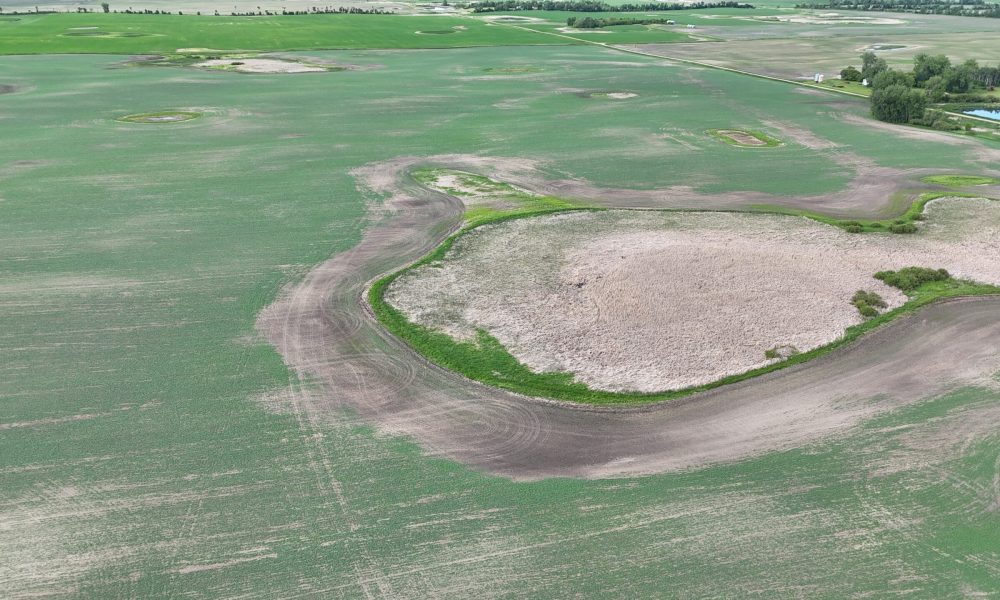 DJI 20260618180206 0023 D