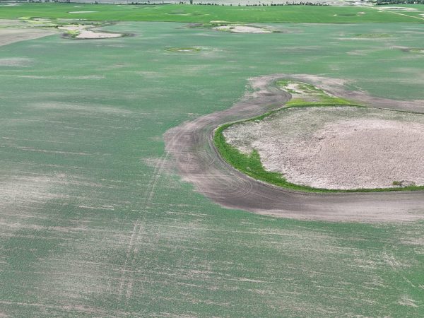 DJI 20260618180212 0024 D
