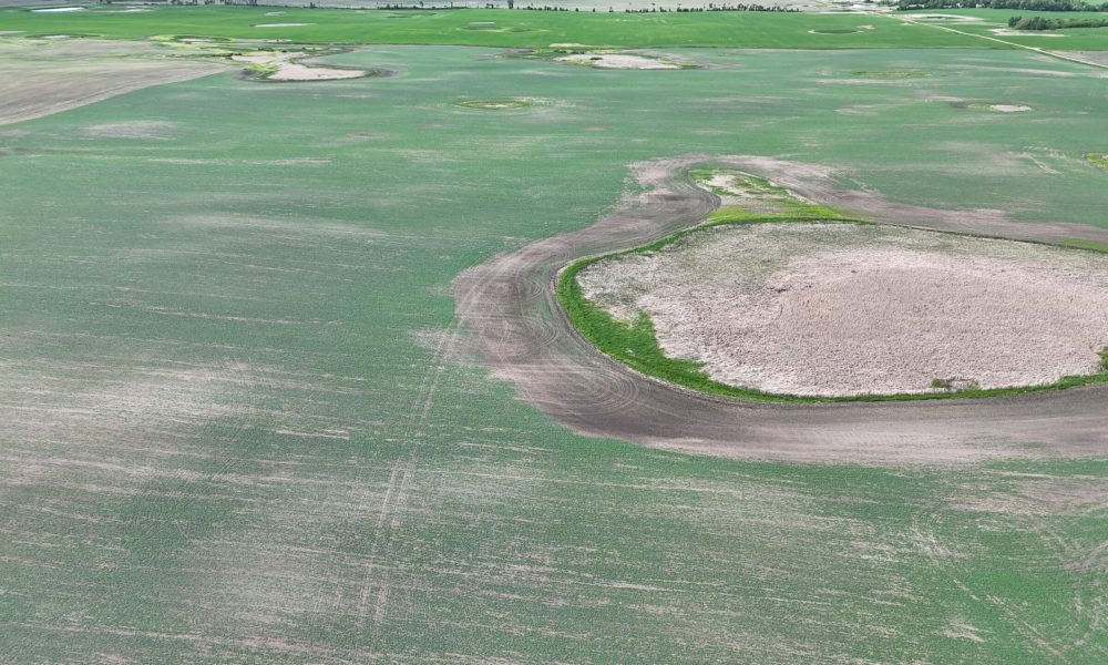 DJI 20260618180212 0024 D