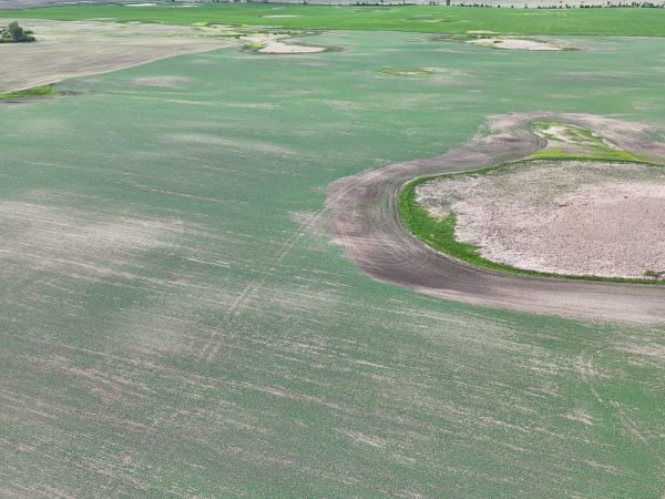 DJI 20260618180216 0025 D