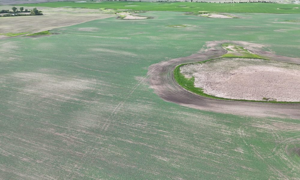 DJI 20260618180216 0025 D