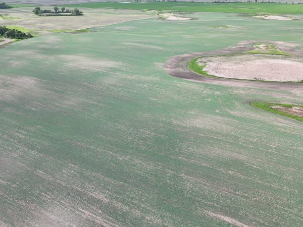 DJI 20260618180236 0027 D