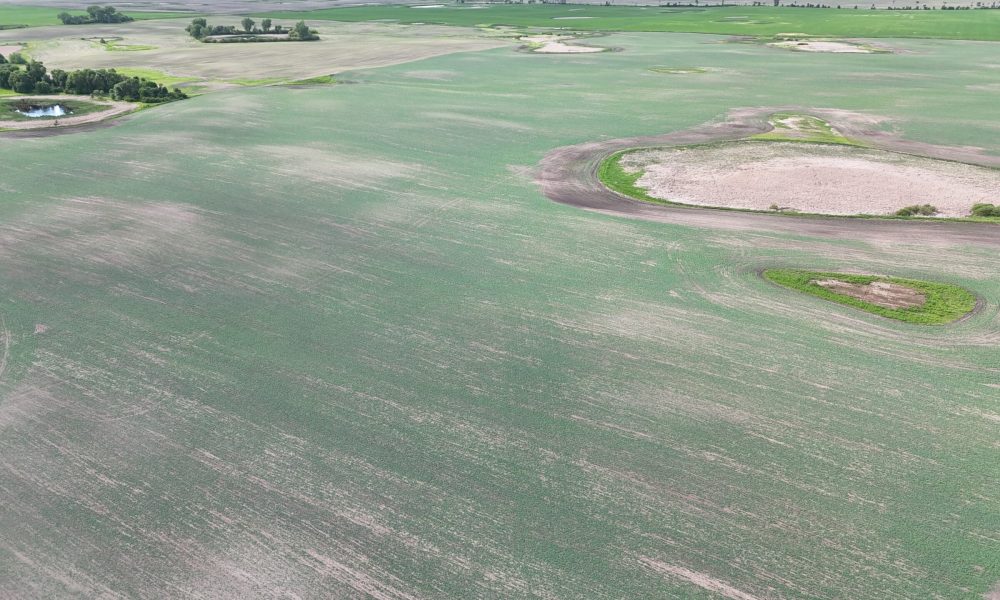 DJI 20260618180236 0027 D