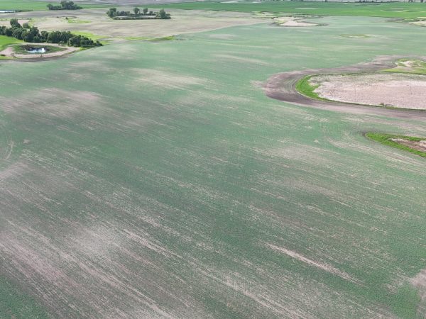 DJI 20260618180240 0028 D
