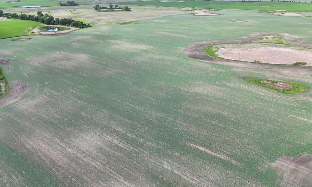 DJI 20260618180240 0028 D